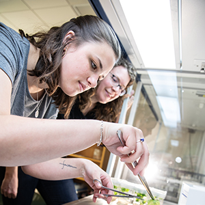 Students in the Plant Cell Biology Lab