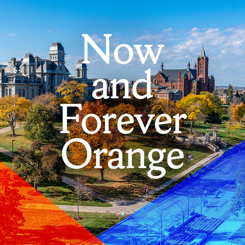 Now and Forever Orange banner
        				